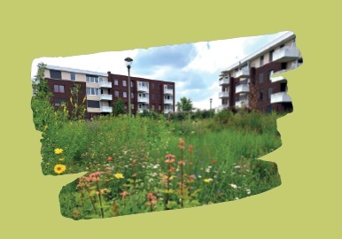 Park Oppe Brik met appartementen op de achtergrond