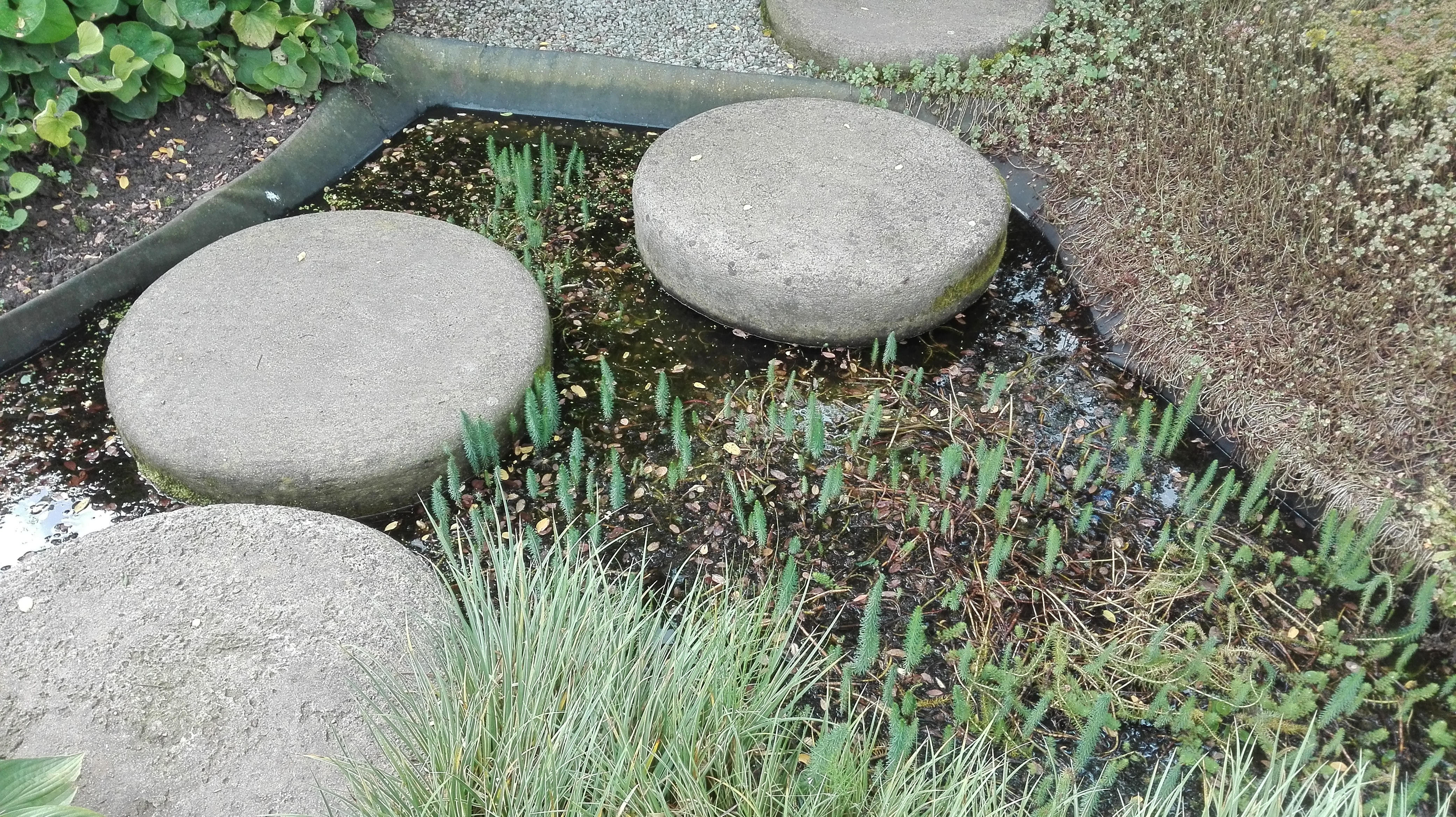 Sierbestrating in een tuin